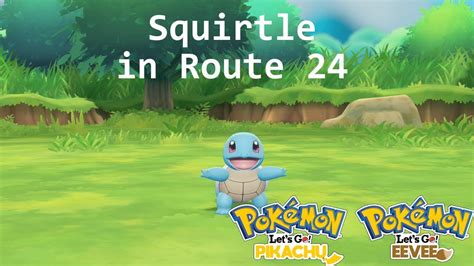 pokemon infinite fusion squirtle route 24 Poke Radar bugged